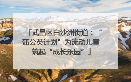 武昌区白沙洲街道：“蒲公英计划”为流动儿童筑起“成长乐园”