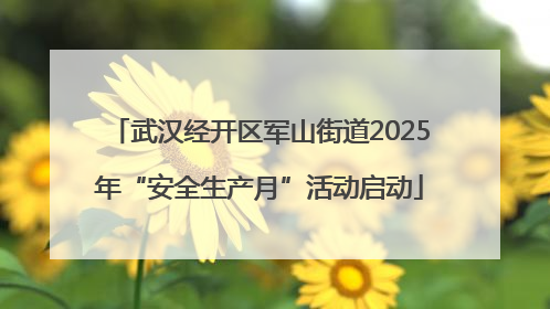 武汉经开区军山街道2025年“安全生产月”活动启动