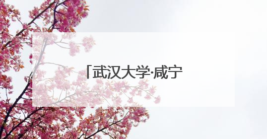 武汉大学·咸宁低空经济创新研究院签约成立