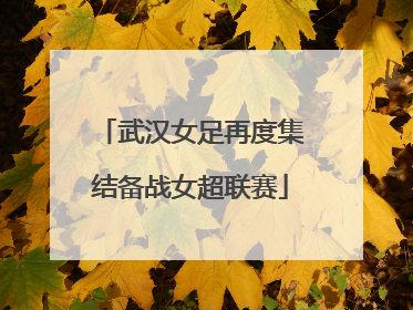 武汉女足再度集结备战女超联赛