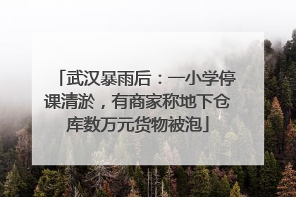 武汉暴雨后：一小学停课清淤，有商家称地下仓库数万元货物被泡
