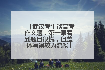 武汉考生谈高考作文题：第一眼看到题目很慌，但整体写得较为流畅