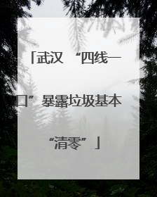 武汉 “四线一口”暴露垃圾基本 “清零”