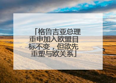 格鲁吉亚总理重申加入欧盟目标不变，但欲先重塑与欧关系