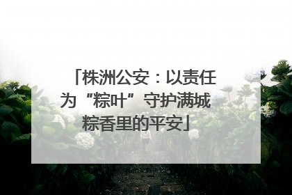 株洲公安：以责任为“粽叶”守护满城粽香里的平安