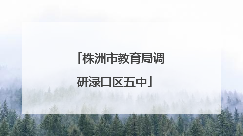 株洲市教育局调研渌口区五中