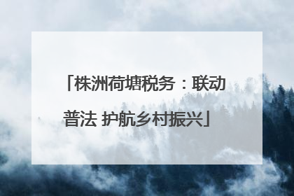株洲荷塘税务：联动普法 护航乡村振兴