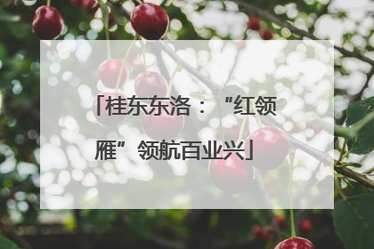 桂东东洛：“红领雁”领航百业兴