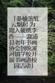桑榆落纸云烟起 为霞入砚桃李香——溆浦县老年书画协会到统溪河镇学校开展书画进校园活动