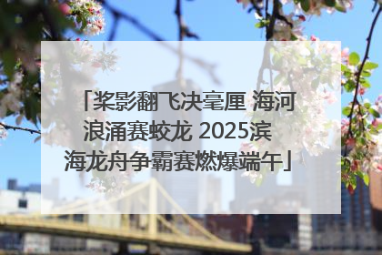 桨影翻飞决毫厘 海河浪涌赛蛟龙 2025滨海龙舟争霸赛燃爆端午