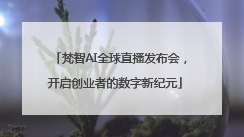 梵智AI全球直播发布会，开启创业者的数字新纪元