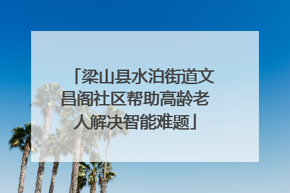 梁山县水泊街道文昌阁社区帮助高龄老人解决智能难题