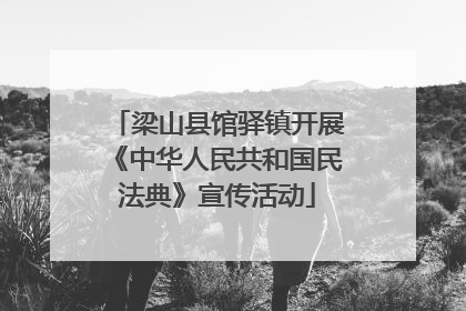 梁山县馆驿镇开展《中华人民共和国民法典》宣传活动