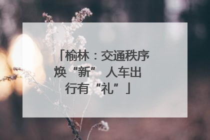 榆林：交通秩序焕“新” 人车出行有“礼”