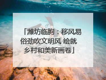 潍坊临朐：移风易俗劲吹文明风 绘就乡村和美新画卷