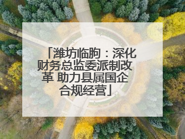 潍坊临朐：深化财务总监委派制改革 助力县属国企合规经营