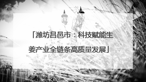 潍坊昌邑市：科技赋能生姜产业全链条高质量发展