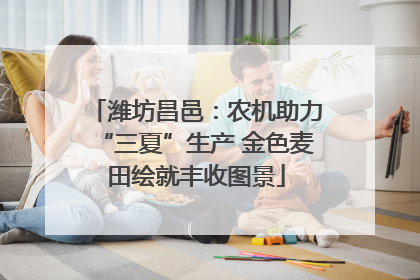潍坊昌邑：农机助力“三夏”生产 金色麦田绘就丰收图景
