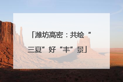潍坊高密：共绘“三夏”好“丰”景