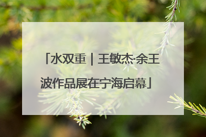 水双重｜王敏杰·余王波作品展在宁海启幕