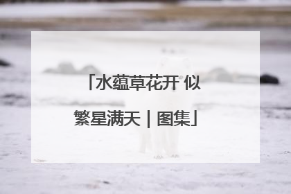 水蕴草花开 似繁星满天｜图集