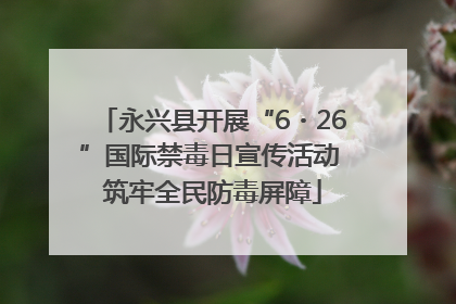 永兴县开展“6・26”国际禁毒日宣传活动 筑牢全民防毒屏障