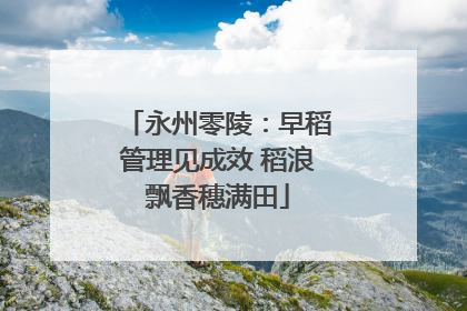 永州零陵：早稻管理见成效 稻浪飘香穗满田