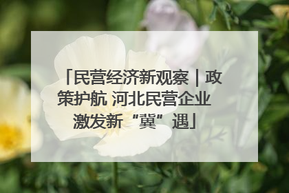 民营经济新观察｜政策护航 河北民营企业激发新“冀”遇