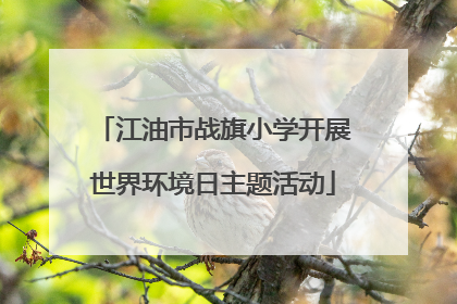 江油市战旗小学开展世界环境日主题活动