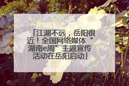 江湖不远，岳阳很近！全国网络媒体“湖南e周”主题宣传活动在岳阳启动