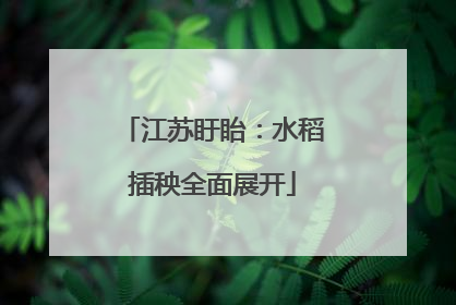 江苏盱眙：水稻插秧全面展开
