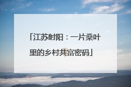 江苏射阳：一片桑叶里的乡村共富密码