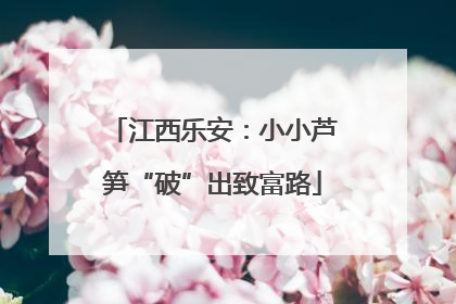 江西乐安：小小芦笋“破”出致富路