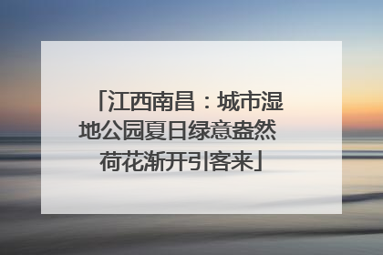 江西南昌：城市湿地公园夏日绿意盎然 荷花渐开引客来