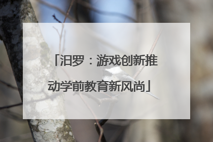 汨罗：游戏创新推动学前教育新风尚