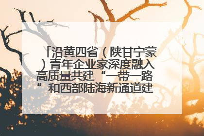 沿黄四省（陕甘宁蒙）青年企业家深度融入高质量共建“一带一路”和西部陆海新通道建设战略合作交流会在甘肃兰州召开