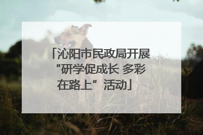 沁阳市民政局开展“研学促成长 多彩在路上”活动