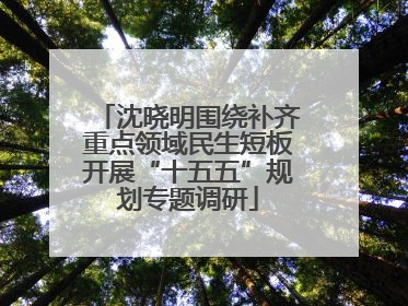 沈晓明围绕补齐重点领域民生短板开展“十五五”规划专题调研