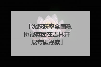 沈跃跃率全国政协视察团在吉林开展专题视察