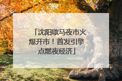 沈阳歇马夜市火爆开市！首发引擎点燃夜经济