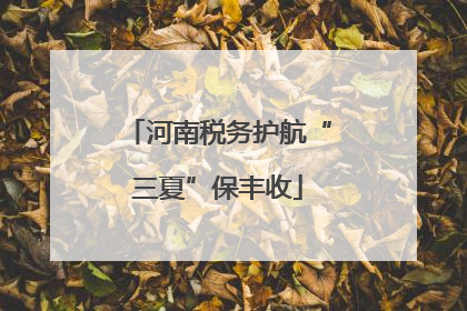河南税务护航“三夏”保丰收