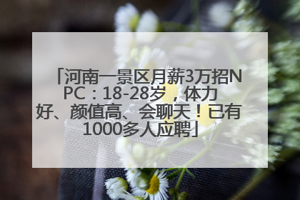 河南一景区月薪3万招NPC：18-28岁，体力好、颜值高、会聊天！已有1000多人应聘