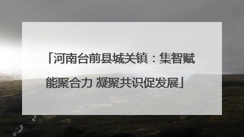 河南台前县城关镇：集智赋能聚合力 凝聚共识促发展