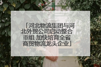 河北物流集团与河北外贸公司启动整合重组 加快培育全省商贸物流龙头企业