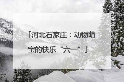 河北石家庄：动物萌宝的快乐“六一”