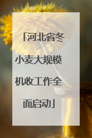河北省冬小麦大规模机收工作全面启动