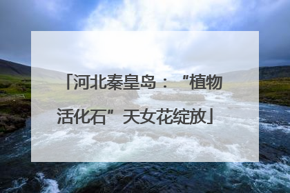 河北秦皇岛：“植物活化石”天女花绽放