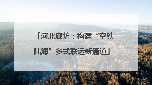 河北廊坊：构建“空铁陆海”多式联运新通道