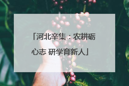河北辛集：农耕砺心志 研学育新人