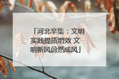 河北辛集：文明实践提质增效 文明新风蔚然成风